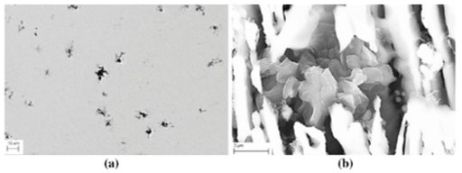 Irregular graphite aggregates in the < 0.010% Mg 4 min sample: (a) optical micrograph; (b) SEM micrograph.