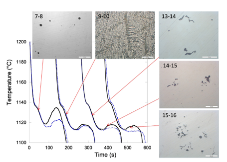 Successive steps of growth of compacted graphite in cast irons