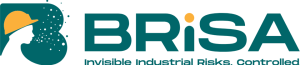 logo Brisa project